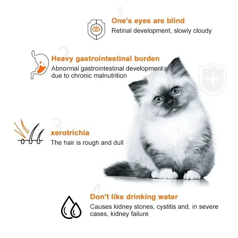 10 pçs tiras de gato lanches p - Snacks Food Labels avaliação e preço